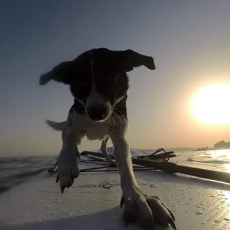 Wonderful World سبليت