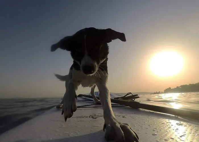 Wonderful World Сплит